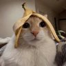AZ's profile picture