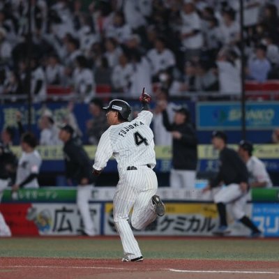 May_ayanest's profile picture