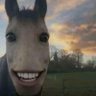 d1rtyrickss's profile picture