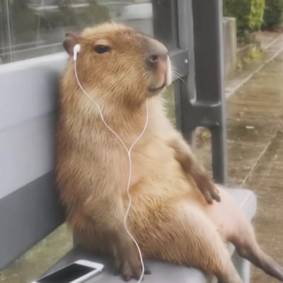 Vexyirl's profile picture