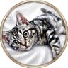 猫好きに悪い人はいない説's profile picture