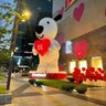 Imaihao profil fotoğrafı