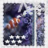 Clownfish's profile picture