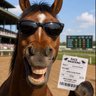 JustOneMoreRace's profile picture