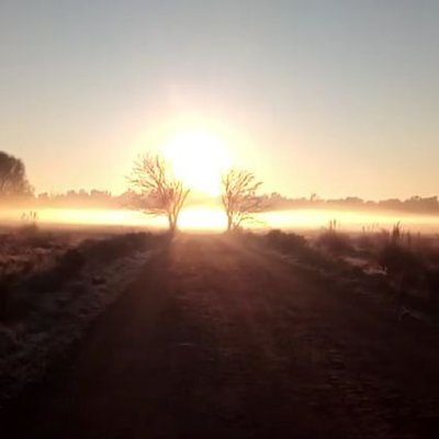 cdqfiles's profile picture