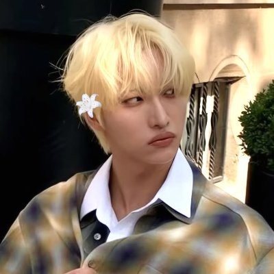 cuntress seonghwa ⋆ 🦦 ꫂ᭪ ݁˖'s profile picture