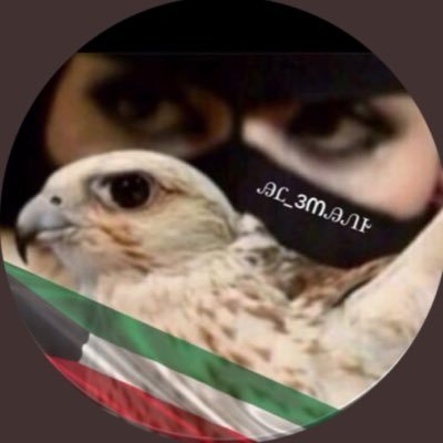 Tota_7821's profile picture