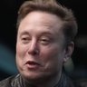 Profilbild von I am Long Musk