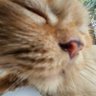 quasoo profil fotoğrafı