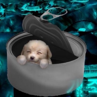 brainsechuk's profile picture