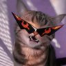 Kova's profile picture