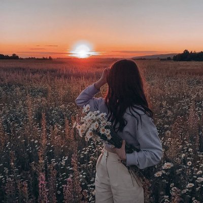 Aless_Howk54's profile picture