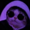 Profilbild von 𝓥𝒆𝒍𝒍𝒂