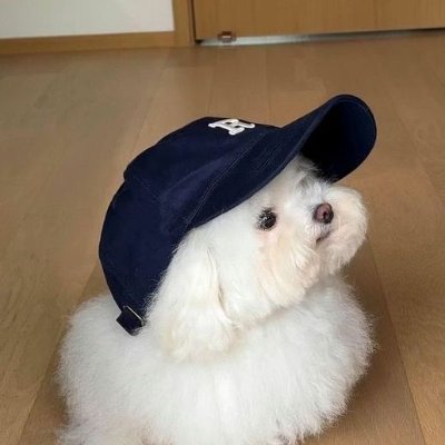 ฝนชอบกินนม🥨's profile picture