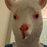 ひびきわたる's profile picture
