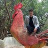 Phan Thanh Thái profil fotoğrafı