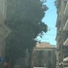 Sam Daw Lebanon's profile picture