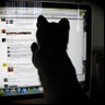 Catffeee profil fotoğrafı