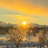 ArcticDweller 的头像