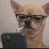 Profilbild von Mindin Everybody’s Business