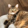 rbutyk profil fotoğrafı