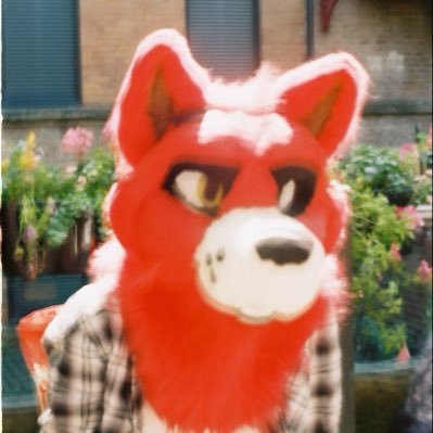 JezzerJizzFox's profile picture