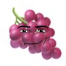 Profilbild von 成精的紫葡萄