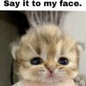 Tugay's profile picture