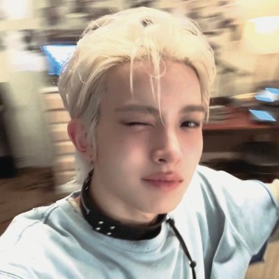 sol 🪽's profile picture