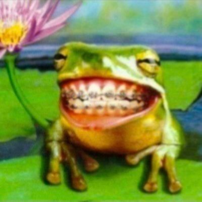 bobonilson's profile picture