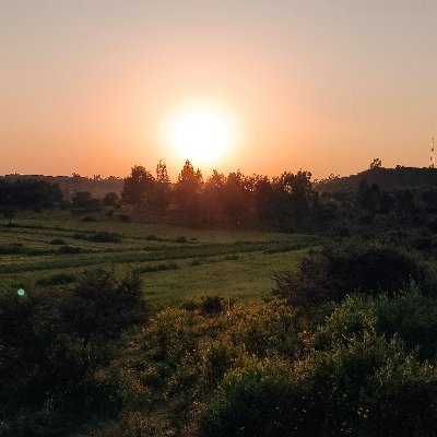 Sertseyonas's profile picture