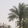 Фото профиля "عبدالمحسن"