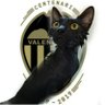 Profilbild von Gatazo