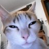 Wally_sb's profile picture