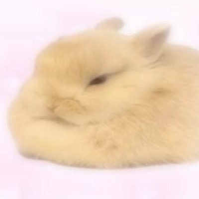 一点波💭's profile picture