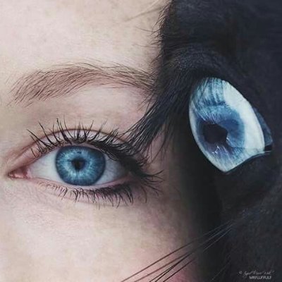Maggie_Ohmie's profile picture