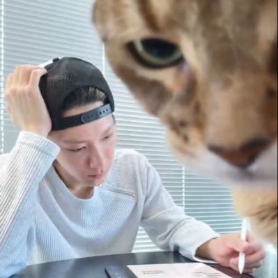 🐈‍⬛'s profile picture
