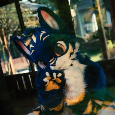 ShouLei & Heck 🔜Infurnity2026's profile picture