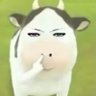 somtam_jojo's profile picture