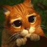 Giffney's profile picture