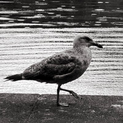 kenw_2's profile picture