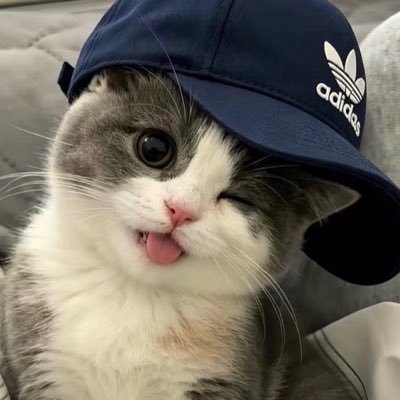 Ciara's profile picture