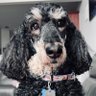 Autumn's profile picture