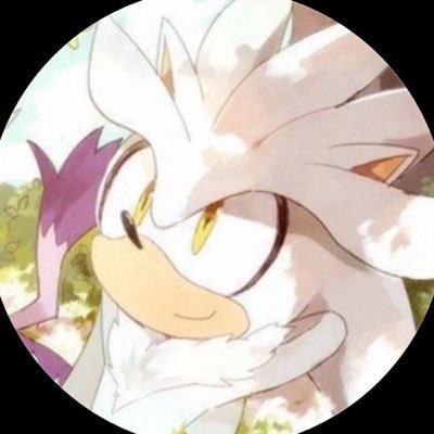 Silver The Hedgehog's profile picture