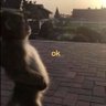 Neyx's profile picture