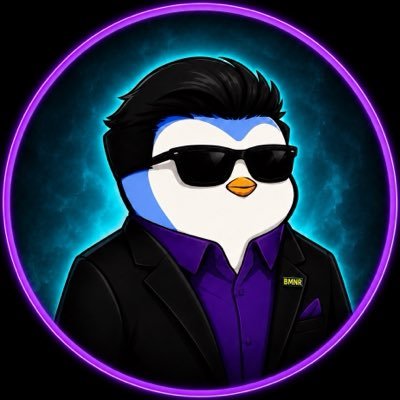 BMNRBullz's profile picture