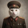 Renzo Sánchez Falcón's profile picture