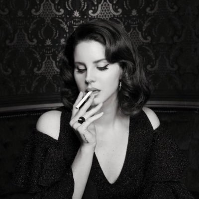VoidRevise's profile picture