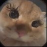 momm's profile picture