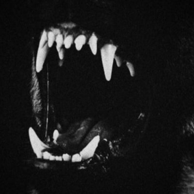 MAGADevilDog's profile picture
